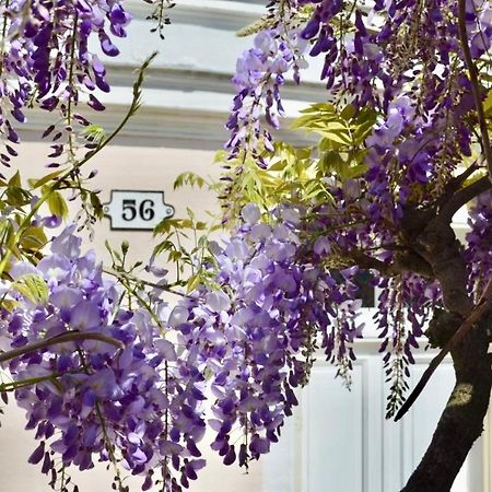 Wisteria Bed and Breakfast Fontainebleau Buitenkant foto