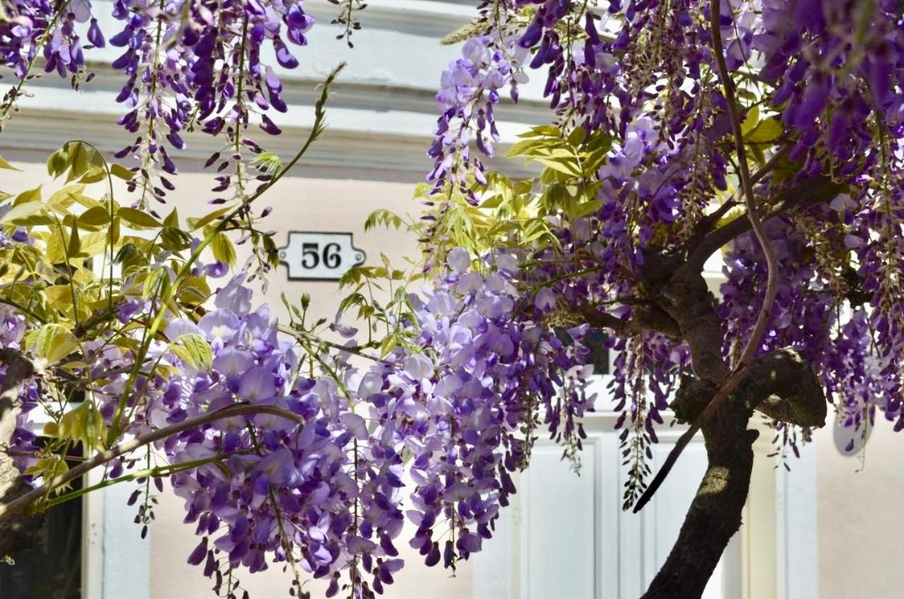 Wisteria Bed and Breakfast Fontainebleau Buitenkant foto