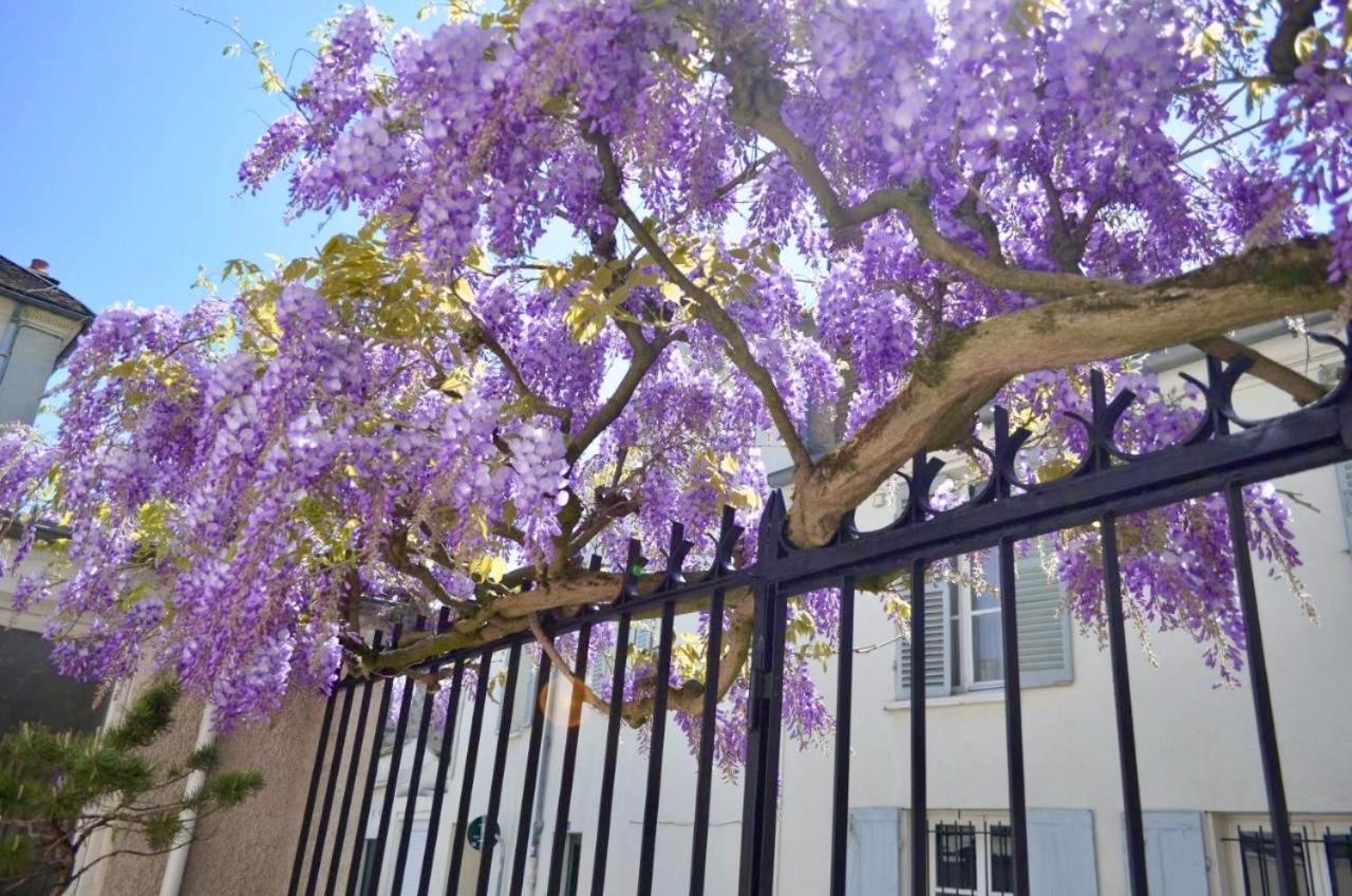 Wisteria Bed and Breakfast Fontainebleau Buitenkant foto