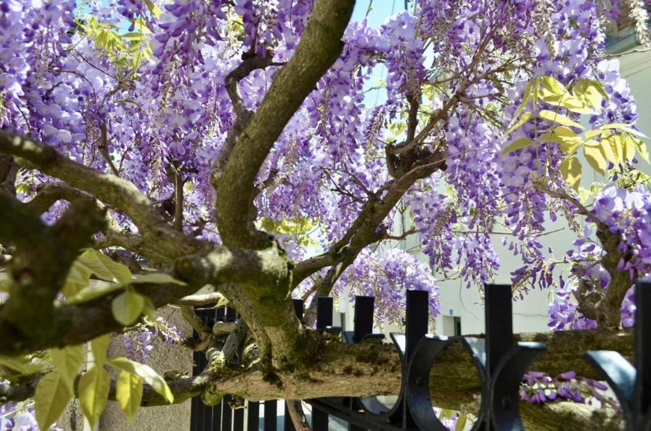 Wisteria Bed and Breakfast Fontainebleau Buitenkant foto