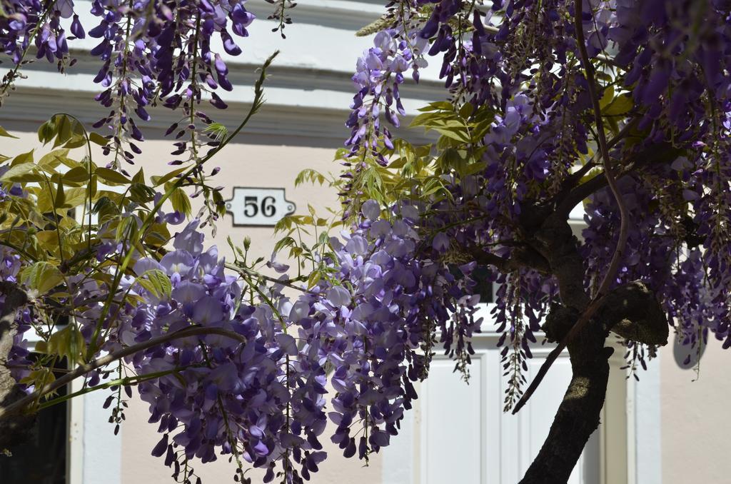 Wisteria Bed and Breakfast Fontainebleau Buitenkant foto